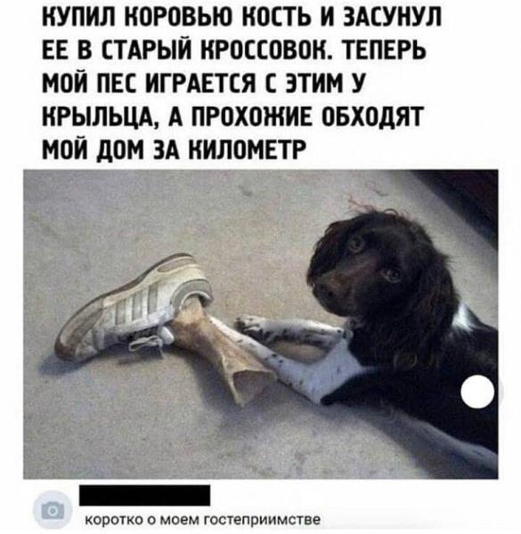 Прикрепленное изображение: 55875593_2536299349733685_6639916270206582784_n.jpg